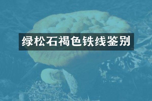 绿松石褐色铁线鉴别