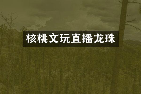 核桃文玩直播龙珠