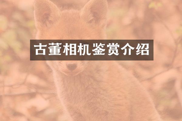 古董相机鉴赏介绍