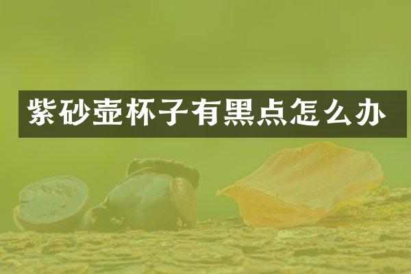 紫砂壶杯子有黑点怎么办