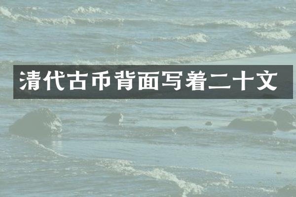 清代古币背面写着二十文