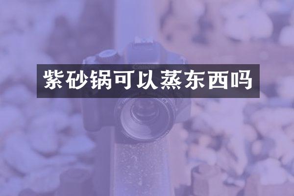 紫砂锅可以蒸东西吗