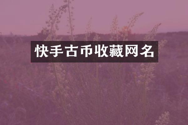 快手古币收藏网名