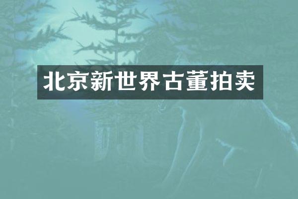 北京新世界古董拍卖