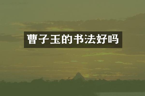 曹子玉的书法好吗