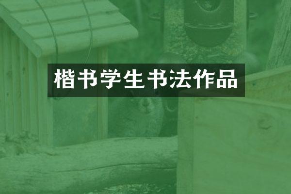 楷书学生书法作品