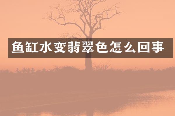 鱼缸水变翡翠色怎么回事