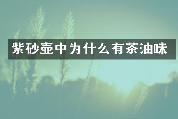 紫砂壶中为什么有茶油味