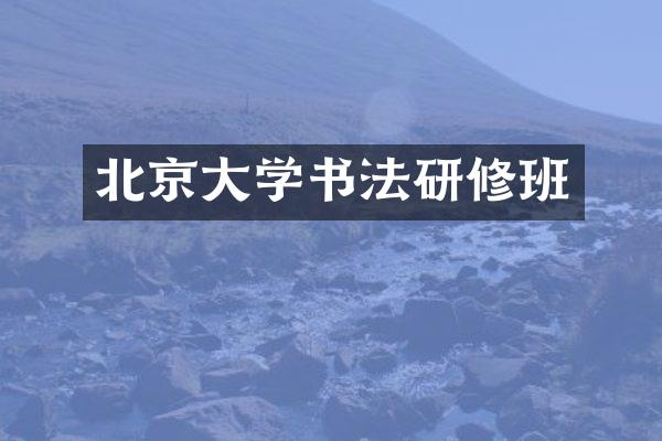 北京大学书法研修班