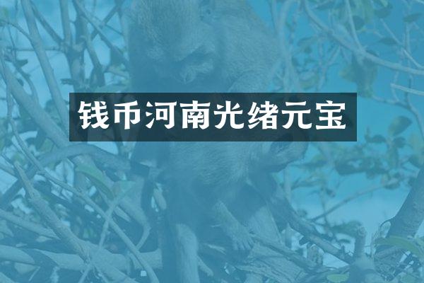 钱币河南光绪元宝