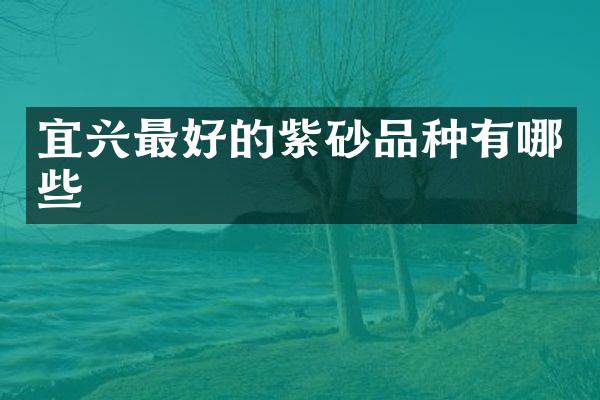 宜兴最好的紫砂品种有哪些