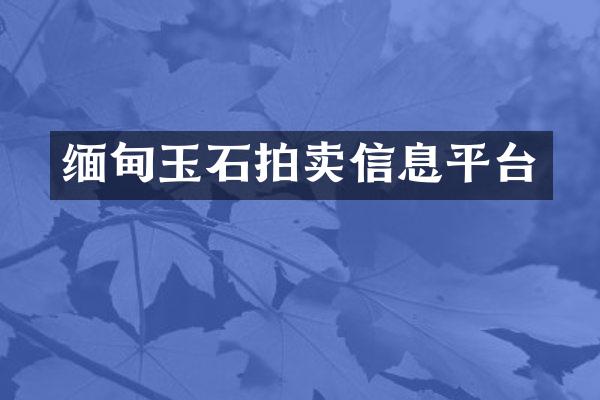 缅甸玉石拍卖信息平台