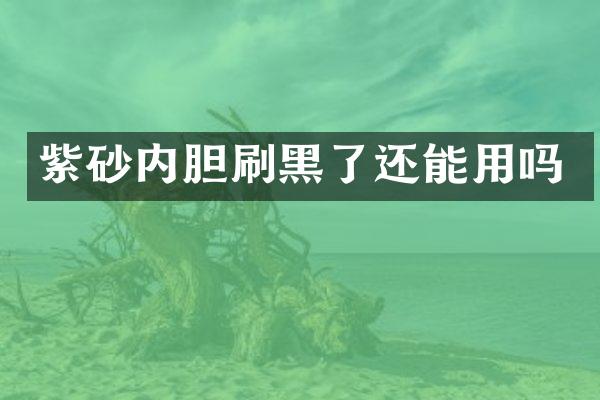 紫砂内胆刷黑了还能用吗