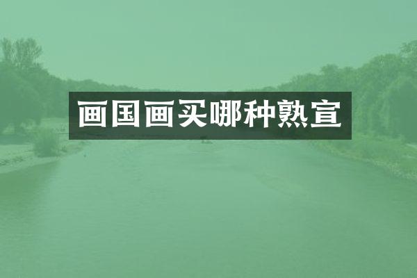 画国画买哪种熟宣