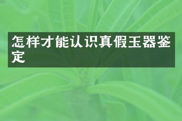 怎样才能认识真假玉器鉴定