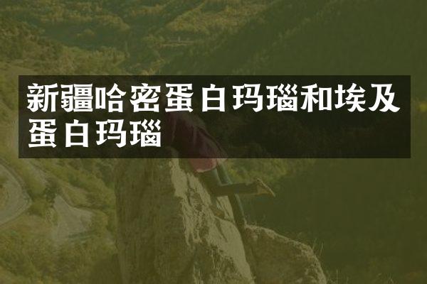 新疆哈密蛋白玛瑙和埃及蛋白玛瑙