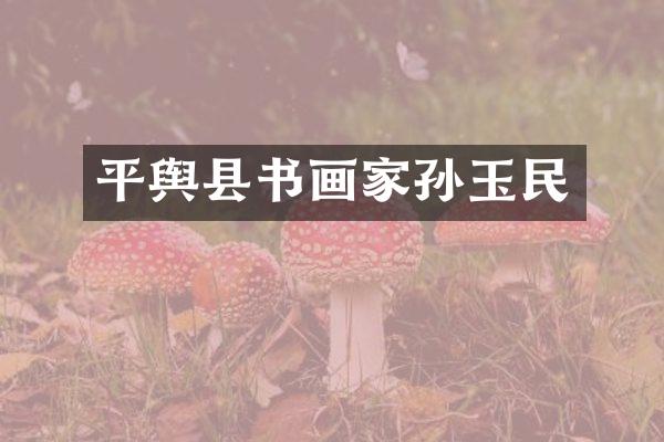 平舆县书画家孙玉民