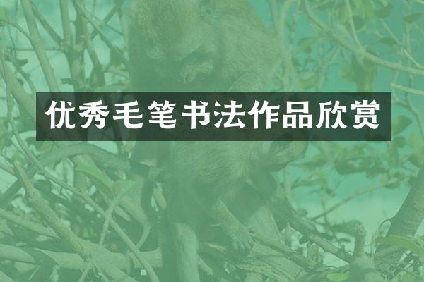 优秀毛笔书法作品欣赏