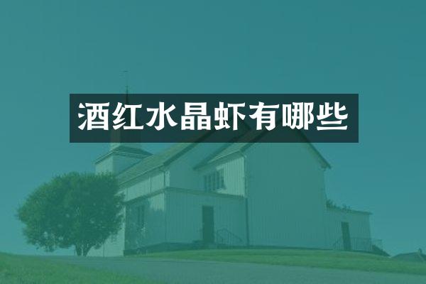 酒红水晶虾有哪些