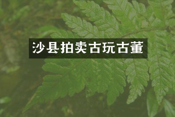 沙县拍卖古玩古董