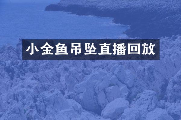 小金鱼吊坠直播回放