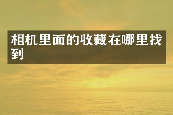 相机里面的收藏在哪里找到