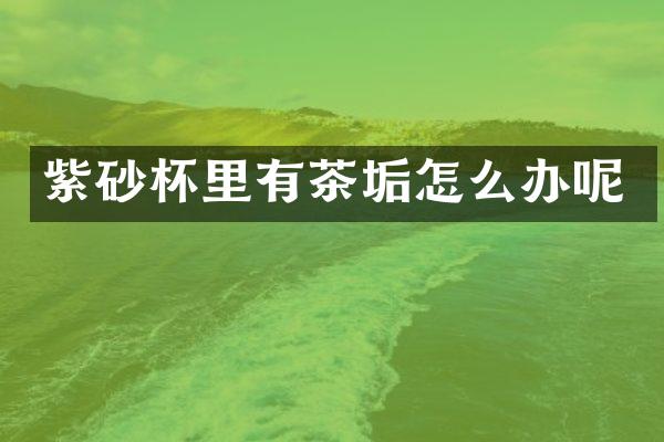 紫砂杯里有茶垢怎么办呢