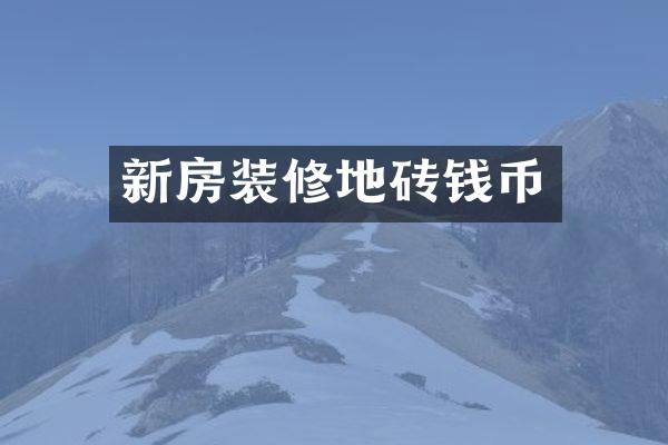 新房装修地砖钱币