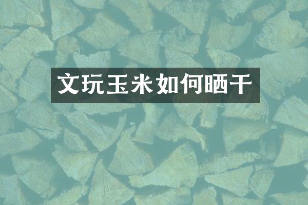文玩玉米如何晒干