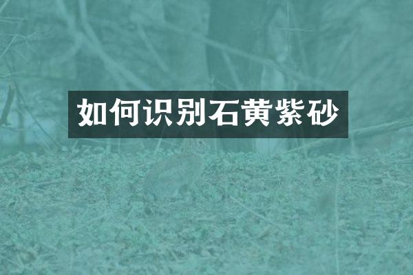 如何识别石黄紫砂