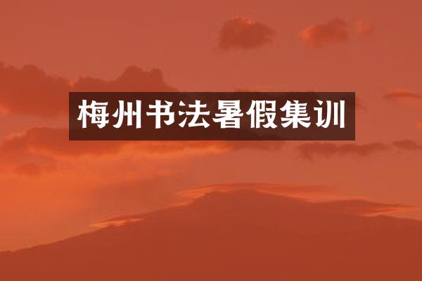 梅州书法暑假集训