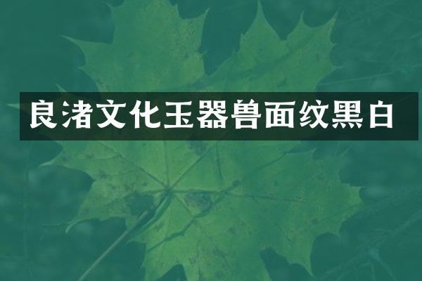 良渚文化玉器兽面纹黑白