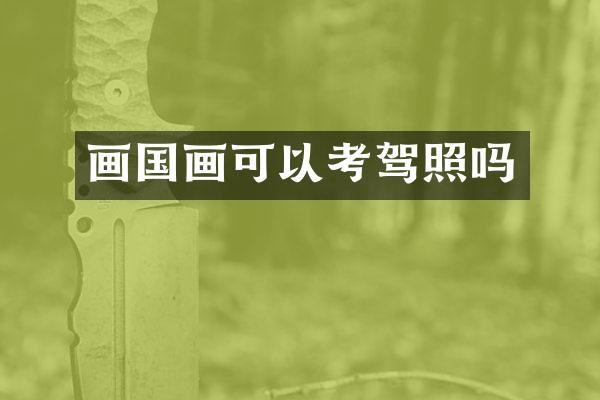 画国画可以考驾照吗