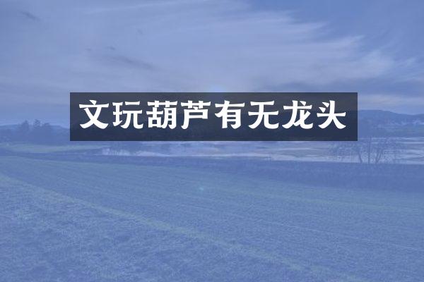 文玩葫芦有无龙头