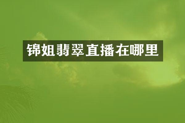 锦姐翡翠直播在哪里