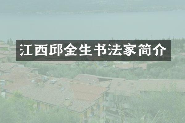 江西邱金生书法家简介