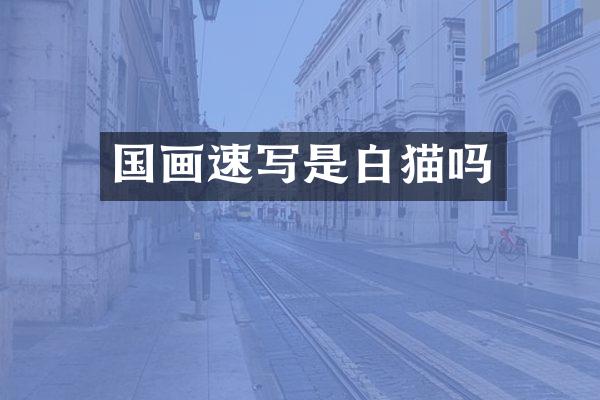 国画速写是白猫吗