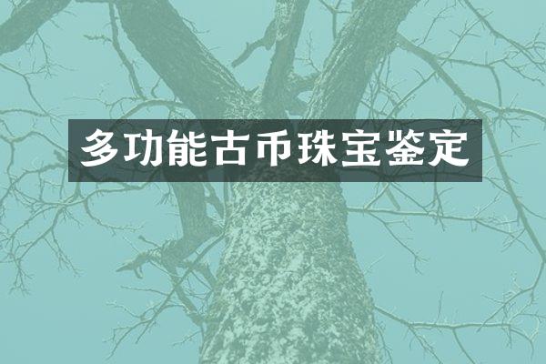 多功能古币珠宝鉴定