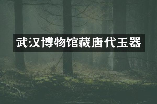 武汉博物馆藏唐代玉器