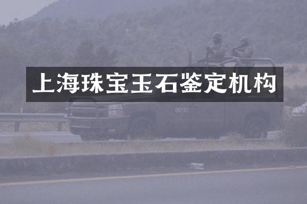 上海珠宝玉石鉴定机构