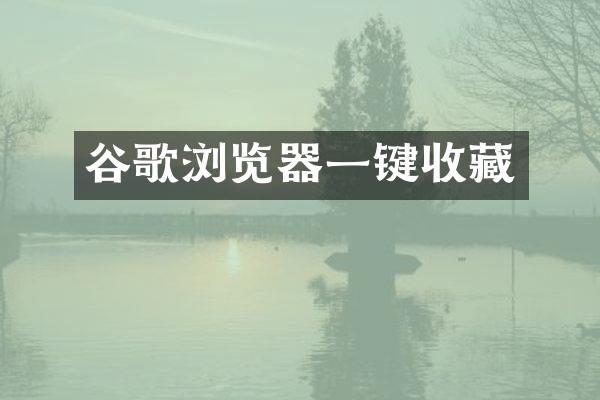 谷歌浏览器一键收藏