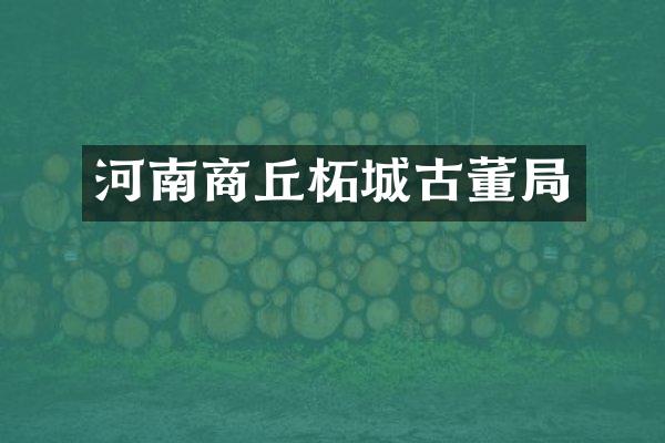 河南商丘柘城古董局