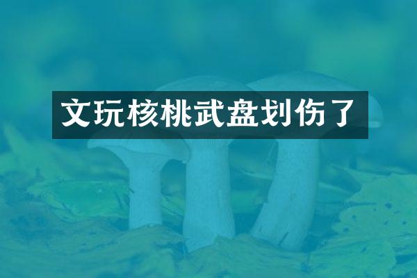 文玩核桃武盘划伤了