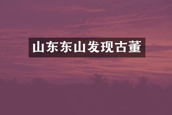 山东东山发现古董