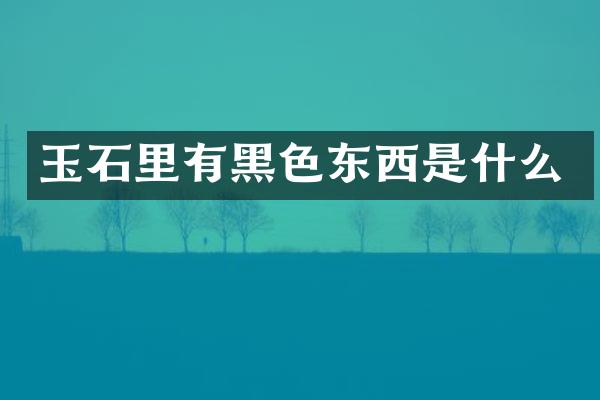玉石里有黑色东西是什么