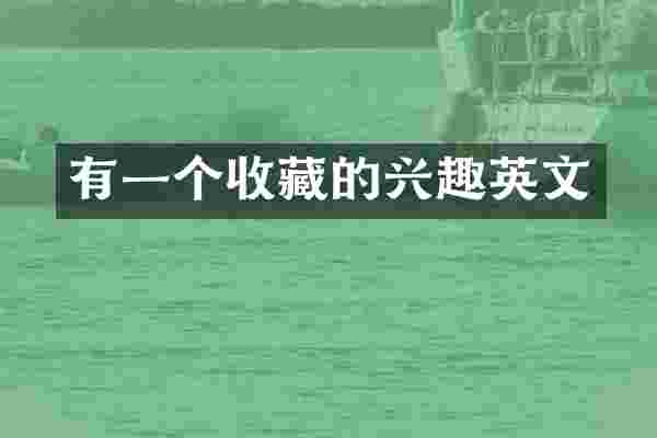 有一个收藏的兴趣英文