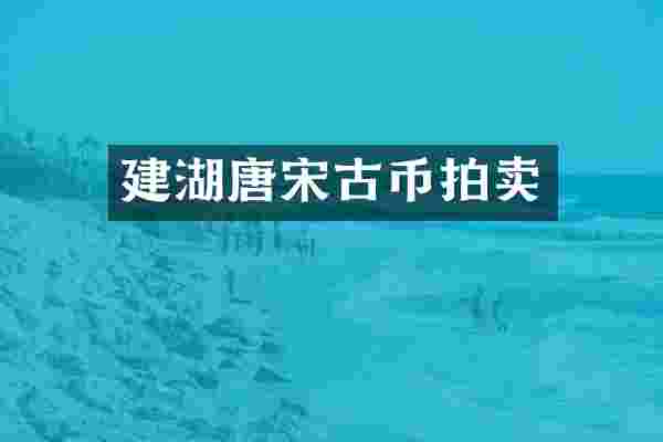 建湖唐宋古币拍卖