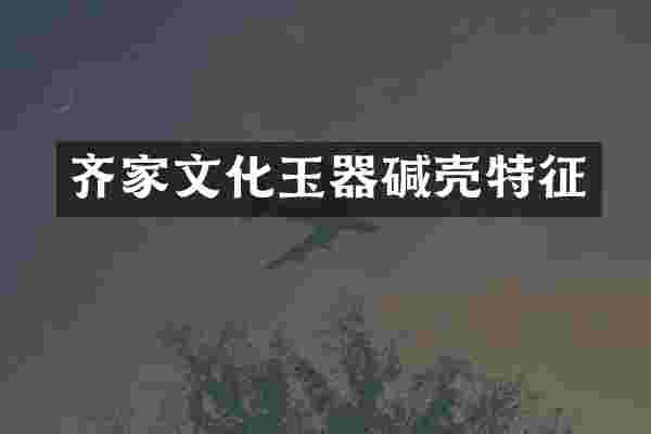 齐家文化玉器碱壳特征