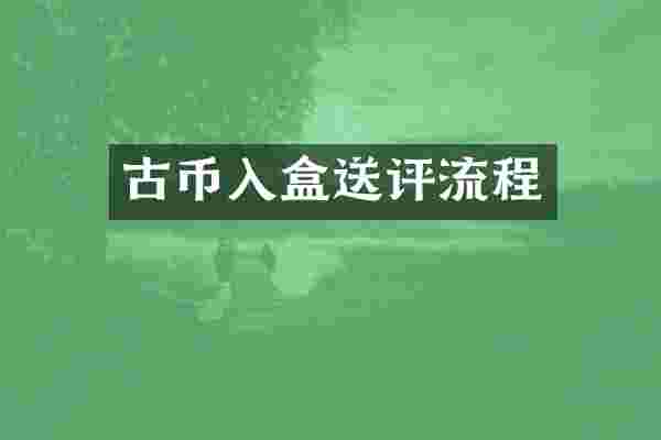 古币入盒送评流程