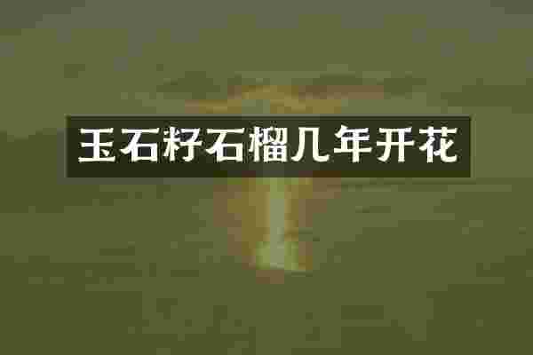玉石籽石榴几年开花